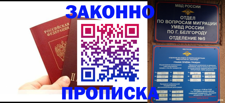 временная регистрация для школы в Волоколамске
